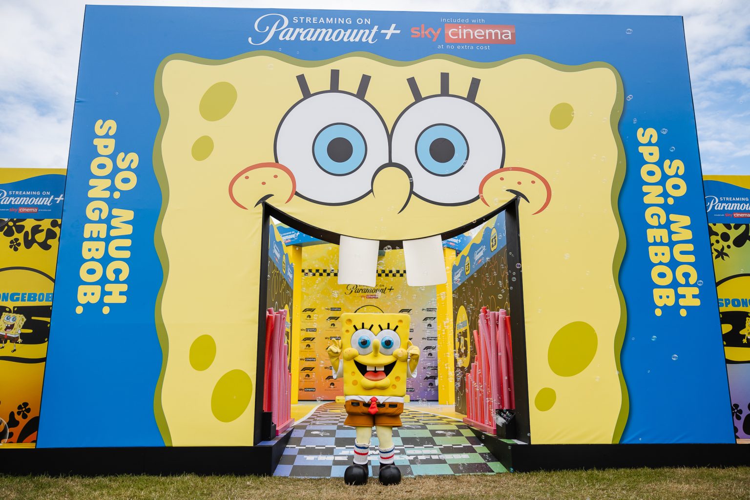 Sponge-0094